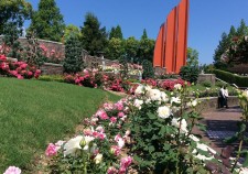 s-IMG_4508