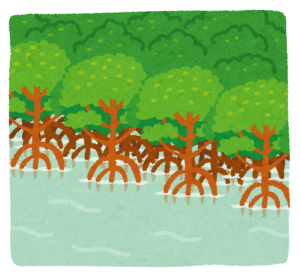 mangrove_hayashi