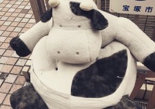 IMG-0500