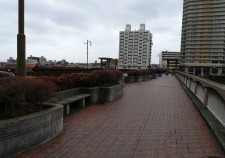 s-s-IMG_20180320_102329