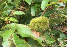 s-IMG_6249