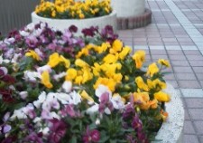 190508_1818~01