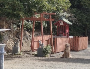 s-IMG_20250325_111434