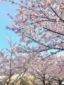 s-image0
