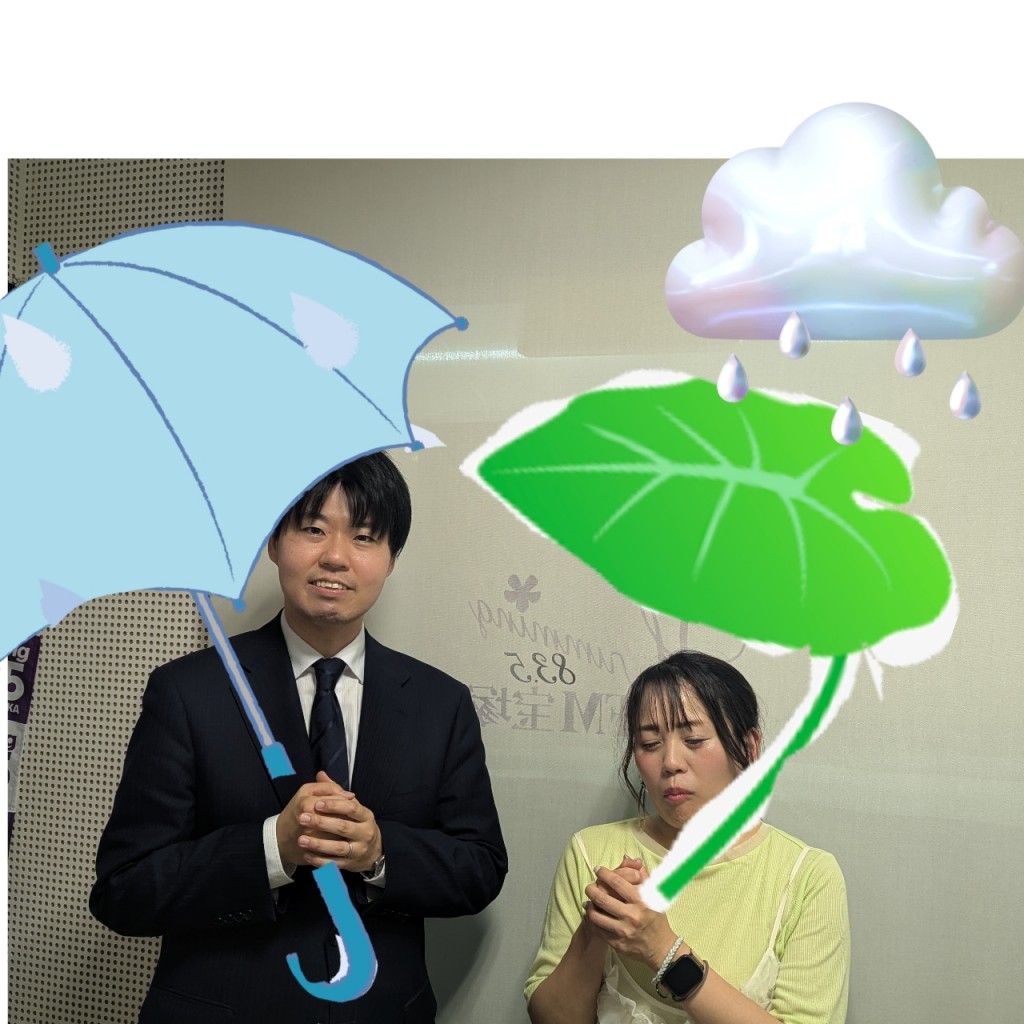 20250530法律尾崎先生民事訴訟構造