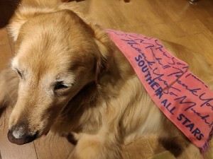 s-IMG20250520193332