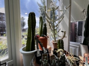 IMG_0502