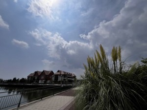 IMG_0508