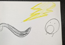denki unagi
