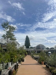 s-IMG_7457