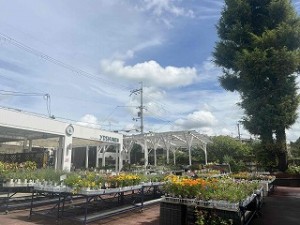 s-IMG_7459