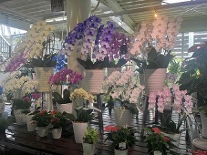s-IMG_7461