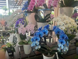 s-IMG_7464