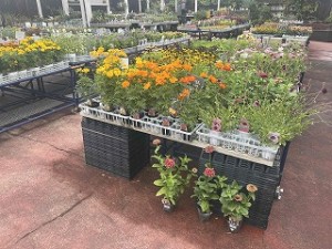 s-IMG_7476