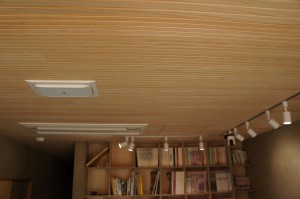 DSC05679