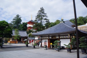 DSC05703