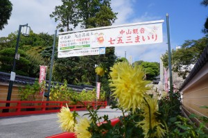 DSC05709