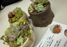 image0