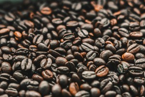wojciech-paczes-lFJzbKZZ_NU-unsplash