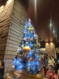 s-IMG_20251115_114625