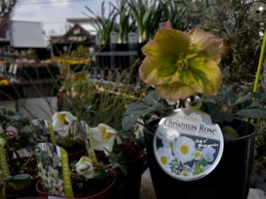 C722A009-216B-4766-9552-1A1163BF8072