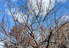 s-IMG20260219104805.jpg.adding