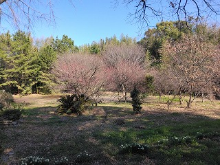 s-IMG_20260316_150404