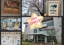 26-04-03-18-23-04-445_deco