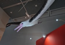 20260526_125448