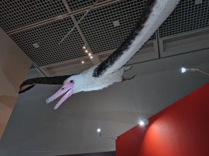 20260526_125448