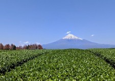s-32663817_s