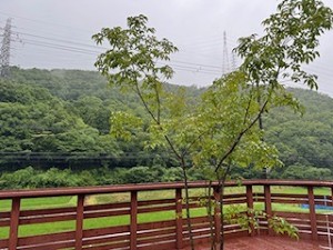 s-image7