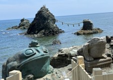 IMG_0185