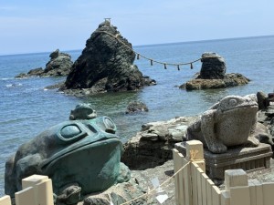 IMG_0185