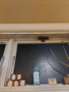 s-1000008942