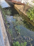 s-IMG20260820171744