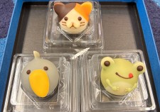 ゴンチャロフ　アニマルランド