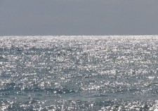 s-24872698_s