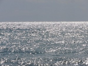 s-24872698_s