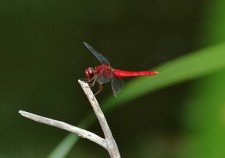 s-35082849_s